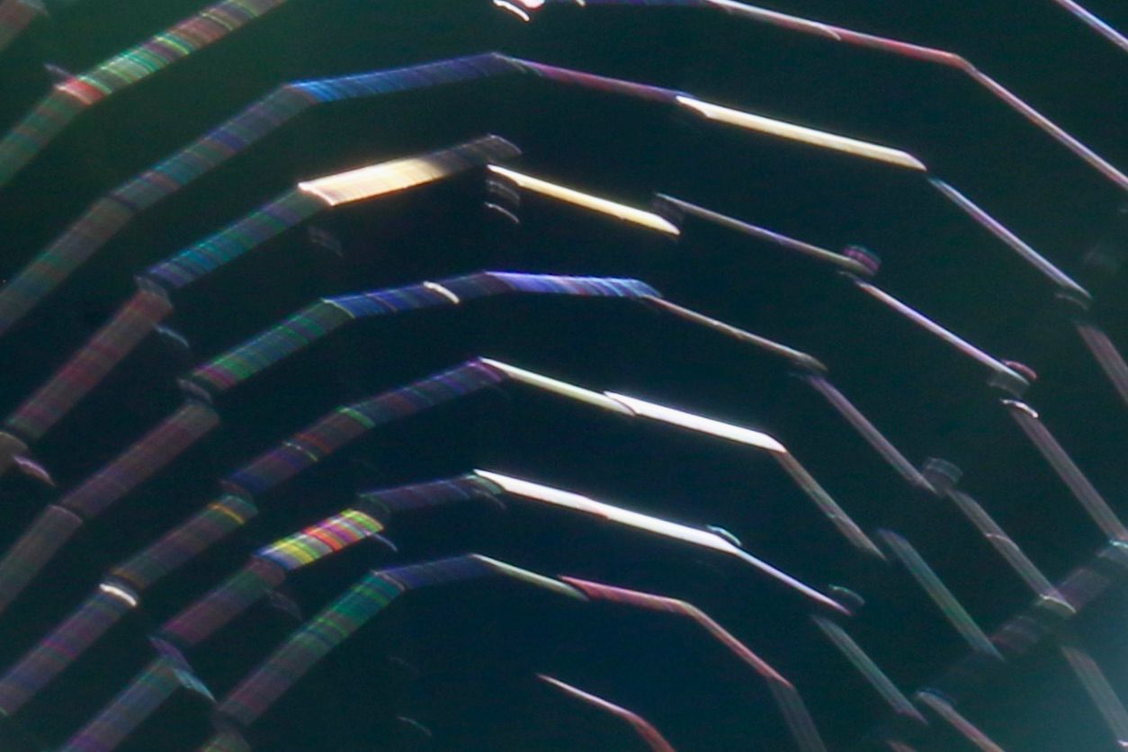 Nieuwsbrief oktober 2025